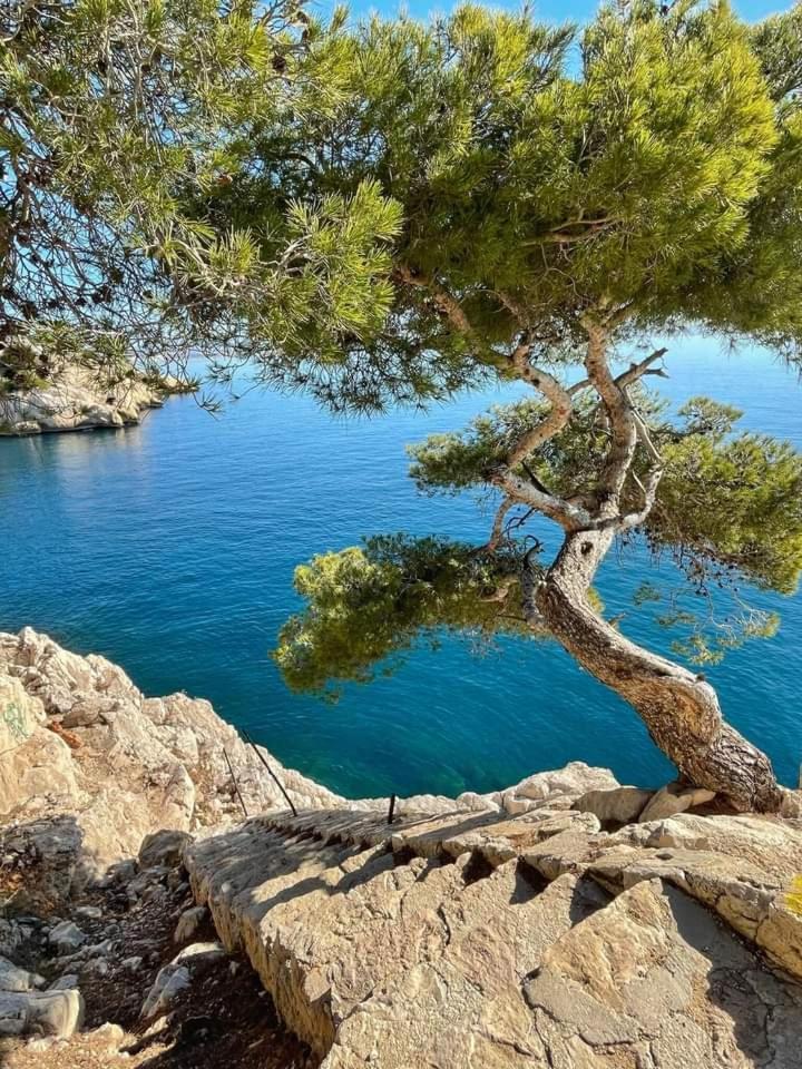 Villa Calanques *
