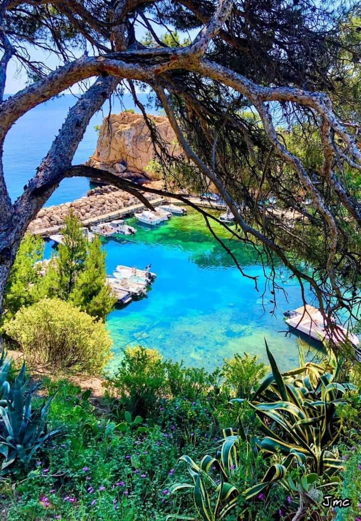 Villa Calanques *