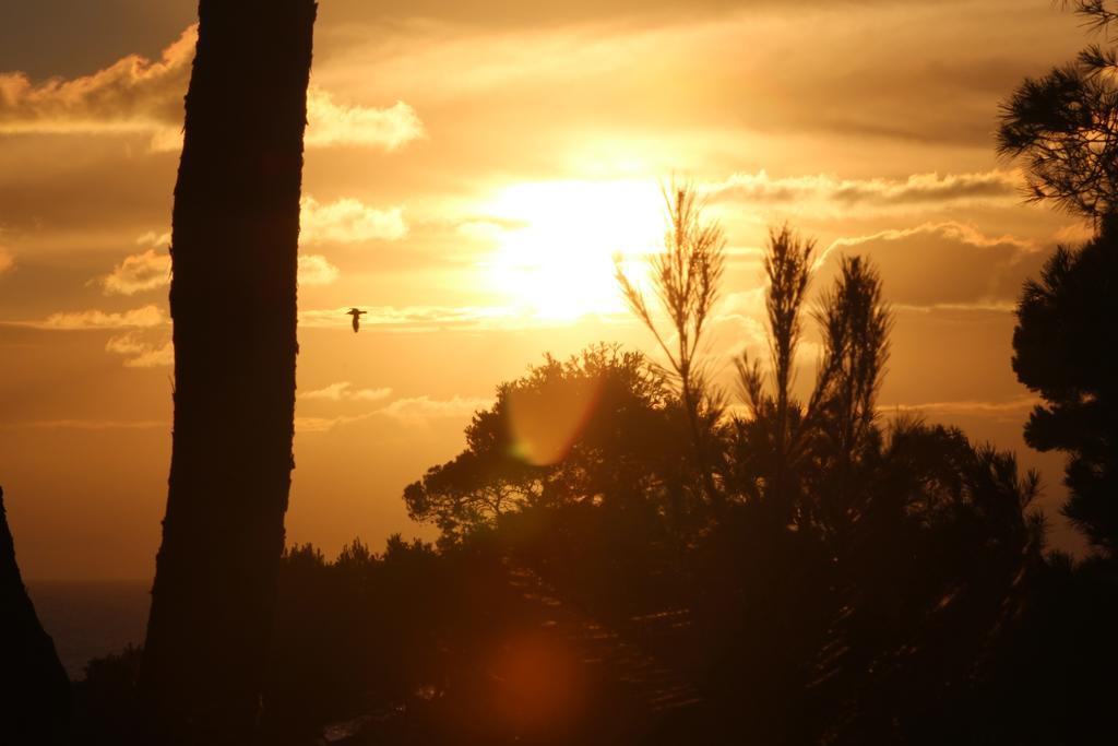 Calanques Ensues-la-Redonne